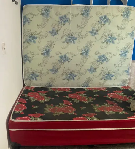 Cama
