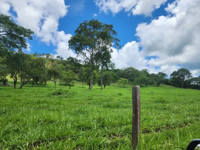 fazenda bela vista
