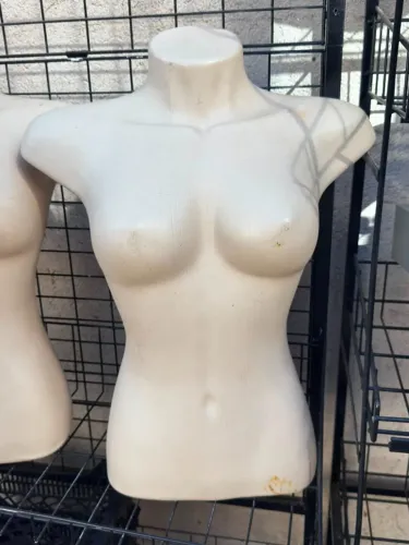 3 Manequins busto feminino
