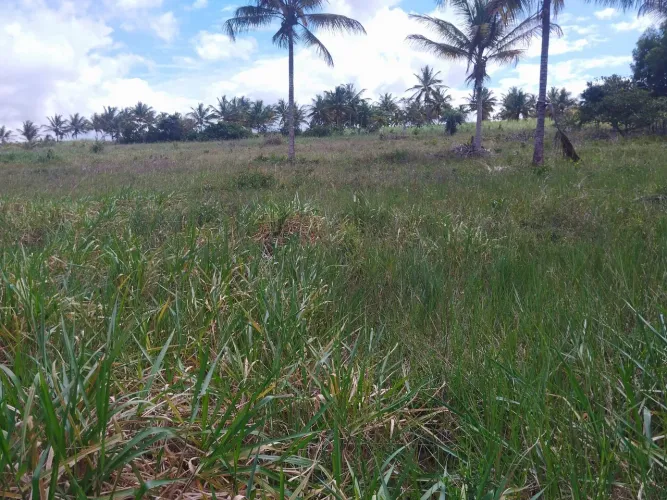 Lote grande com escritura, sem nenhuma restrição