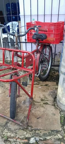 BICICLETA CARGUEIRA