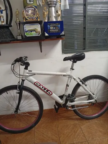 Bicicleta