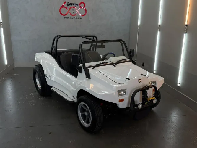 BRM Buggy /m-8/m-8 Long 1.6 2014