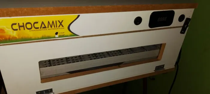 Chocadeira automática