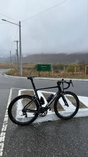 Speed Cipollini XL