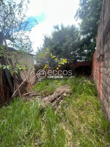 Terreno à venda, Mansour - Uberlândia/MG