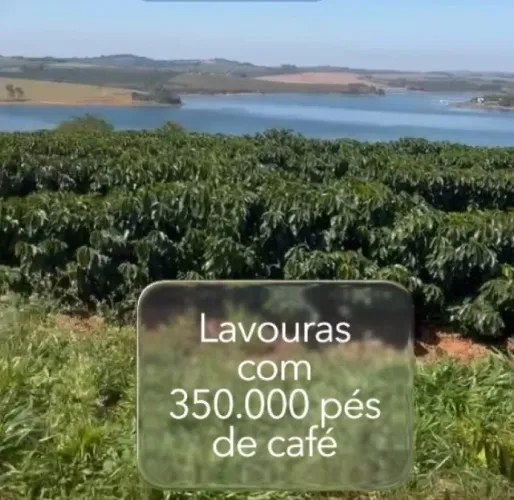 Maravilhosa FAZENDA CAFEEIRA, com 109 Hectares, localizada na Zona Rural de Alfenas