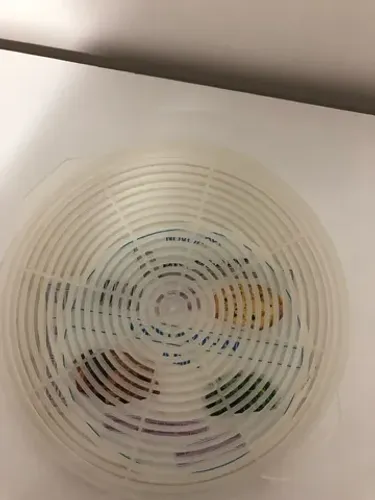 Prato para microondas 