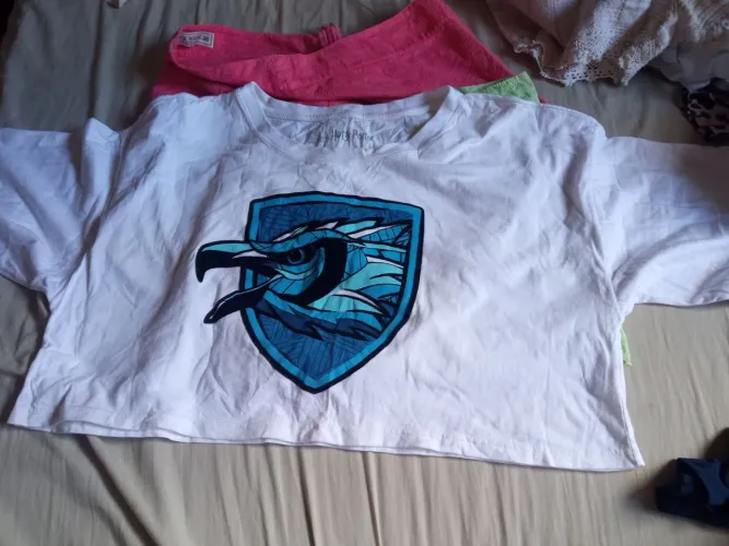 Camiseta Croped Branca com Estampa de Águia