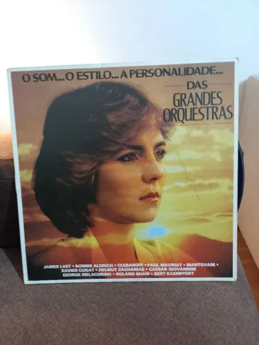 Disco de vinil