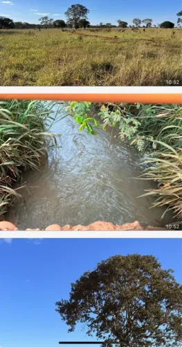 Fazenda em campina verde 90% lavoura serve 
