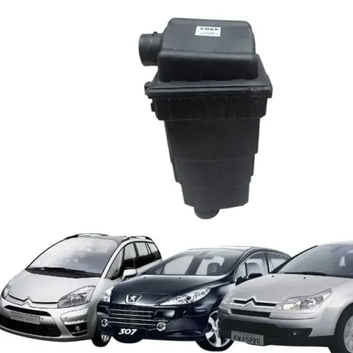 Caixa Filtro De Ar C4 Picasso/C4 Pallas e Peug 307 2.0 07/12