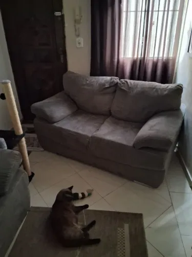Sofá 3 e 2 lugares.