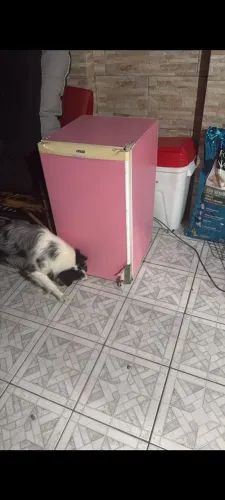 Frigobar 