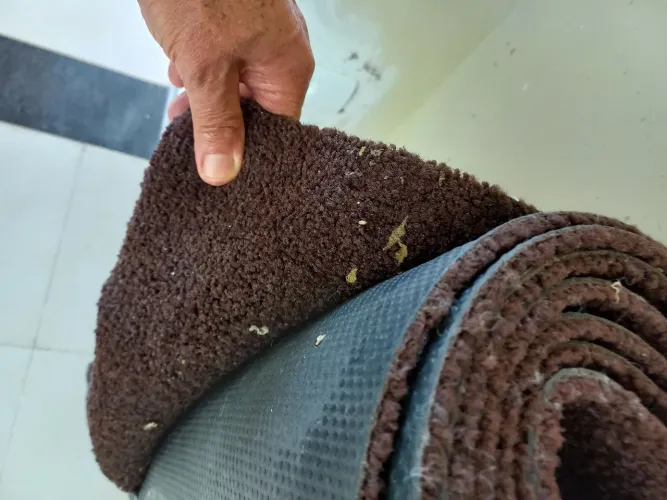 Tapete Capacho em Rolo - Ideal para sua casa!