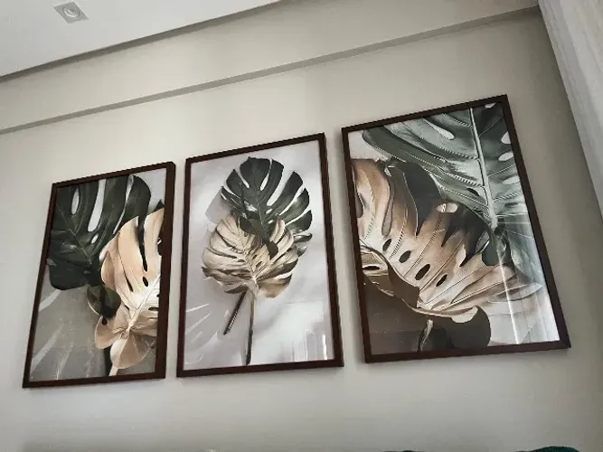 3 Quadros Costela de Adão 75x50 com vidro