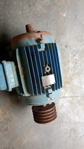 Motor Weg 12,5 CV