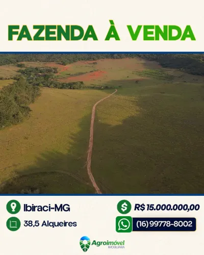 FAZENDA À VENDA: 38,5 ALQUEIRES IBIRACI/MG