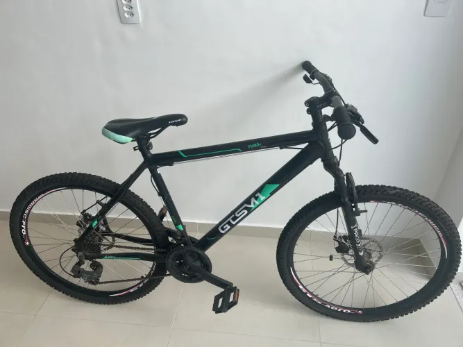 Bicicleta GTSM1
