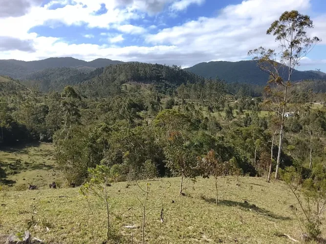 LINDO SÍTIO EM LARANJAL !