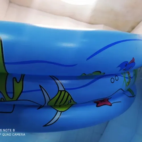 Piscina Infantil L&m 60cmx22cm Al 57l