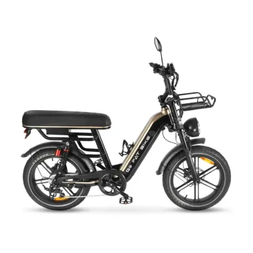 Bicicleta Elétrica Q9 Fat Bike 1000W