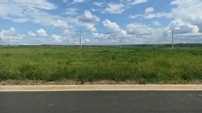 Terreno Padrão em São Carlos