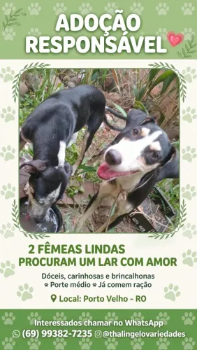 Doação