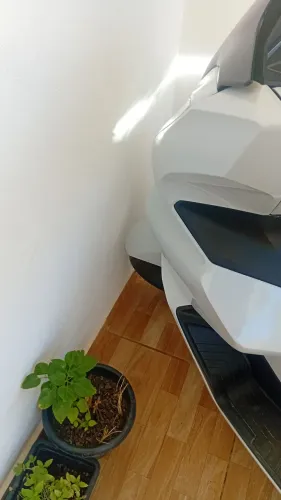 Morando em Goiana e retornarei a São Paulo não compensa transportar.