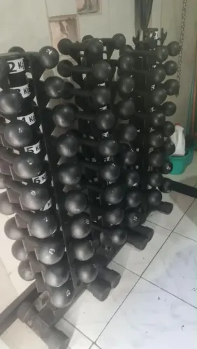 Halteres com o suporte 