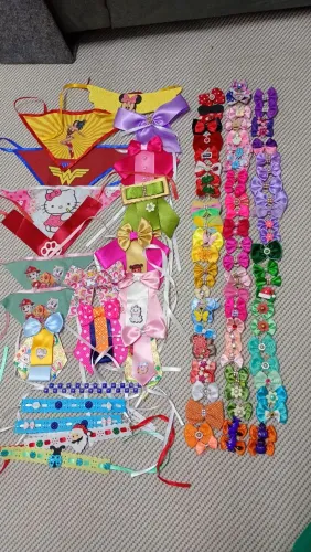 Lote Kit Acessórios Pet - 58 Peças. Retirar próximo ao metrô Tatuapé