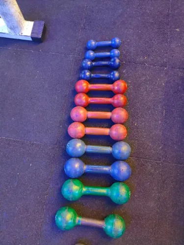 Kit Halter 1 ao 6 kilos