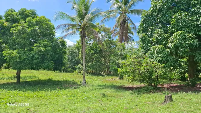 Ótima fazendinha de 70 t na região de'Sào Sebastião do Passe' com casas e frutas