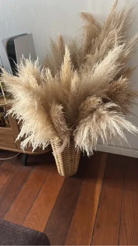 Vaso palha decorativo capim dos pampas 