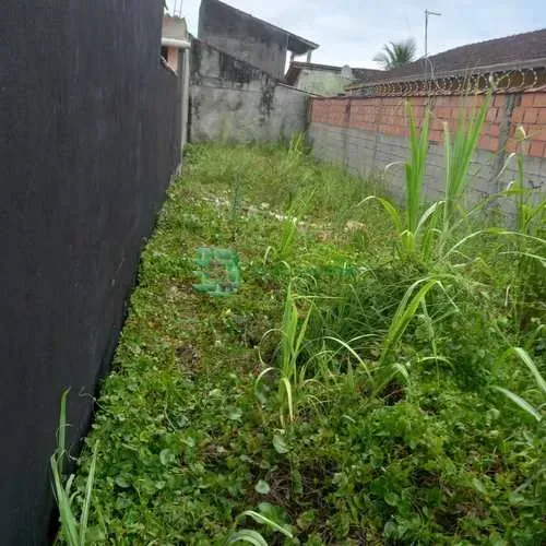 terreno em Mongaguá, meio lote