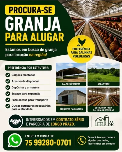 Alugamos granja