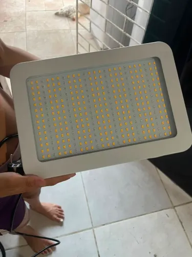 Painéis de led para estufa