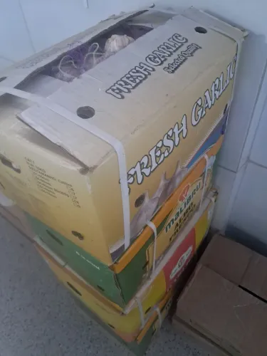 Vendo alho tamanho g caixa com 10 kg 190 temos mantega d terra 40 lt