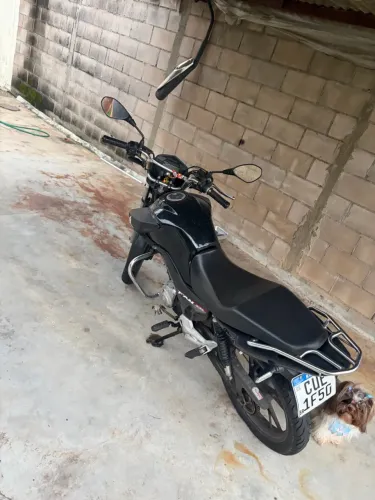 Fan 160 2019