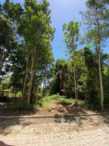 Terreno Coqueiral| Trancoso