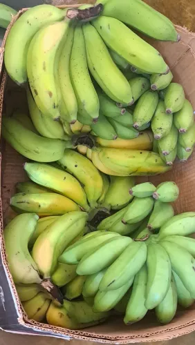 Vendo banana maçã