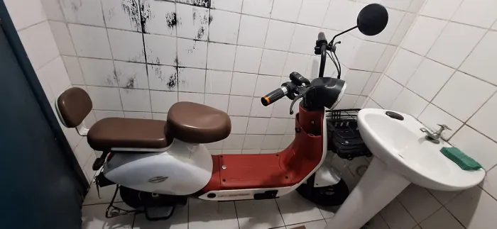 MOTO ELÉTRICA 500W