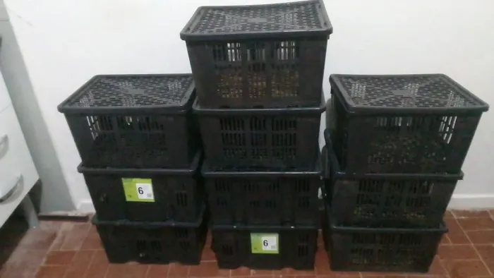 Vendo 10 caixas organizadoras preta com tampa_ otimo preço