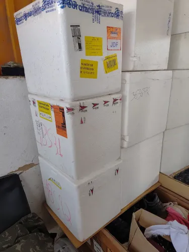 Caixa de isopor média