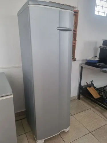 Freezer Vertical Froosfree