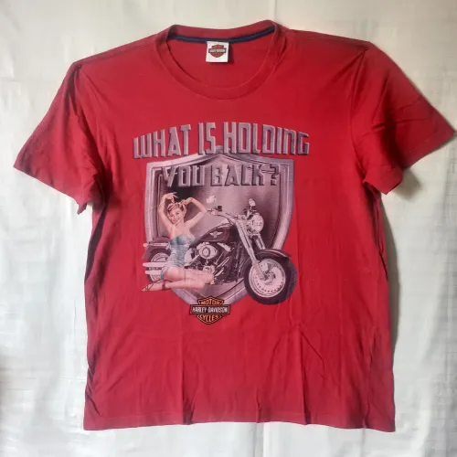 Harley-davidson Camiseta (BR) "what is holding you back / pin up - Brasil", tam. G