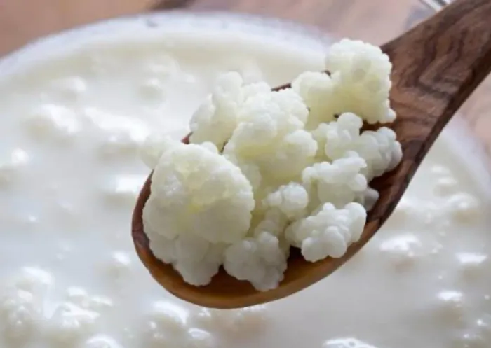 Iogurte de kefir