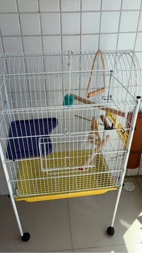 Gaiolao com rodinhas