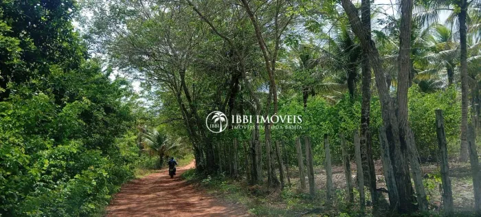 Fazenda sul da Bahia para Pastagem