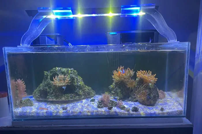Aquário 30lt